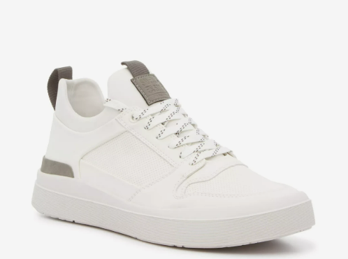 Shoes Steve Madden Pasage Neo Sneaker - Men's