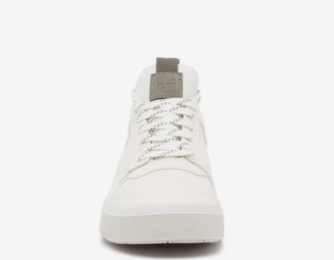 Shoes Steve Madden Pasage Neo Sneaker - Men's