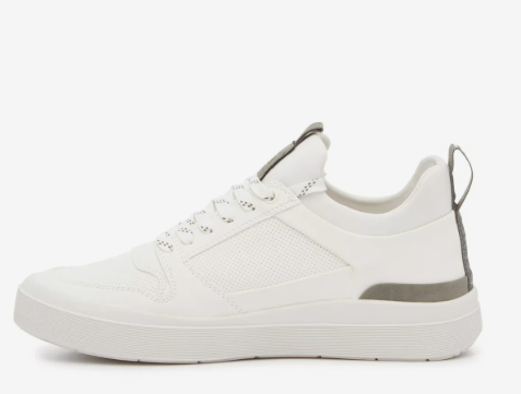 Shoes Steve Madden Pasage Neo Sneaker - Men's